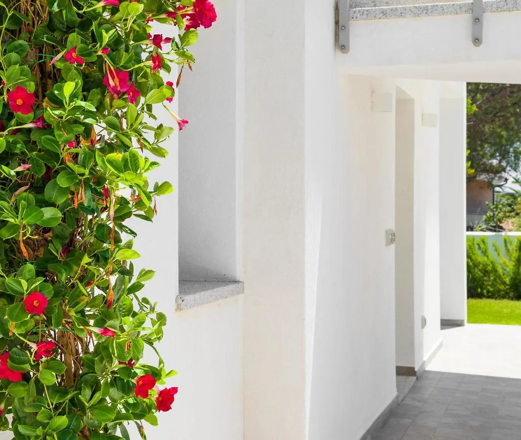 WLofts 13 - Klodge Olbia